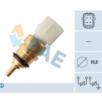 ח.חם גטס,i10,פיקנטו,4X IX35