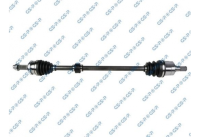 ציריה קיה פיקנטו 1.2 מ R 17
